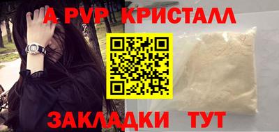 ECSTASY Гай
