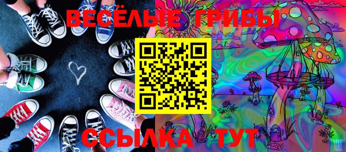 Псилоцибиновые грибы мухоморы Елабуга