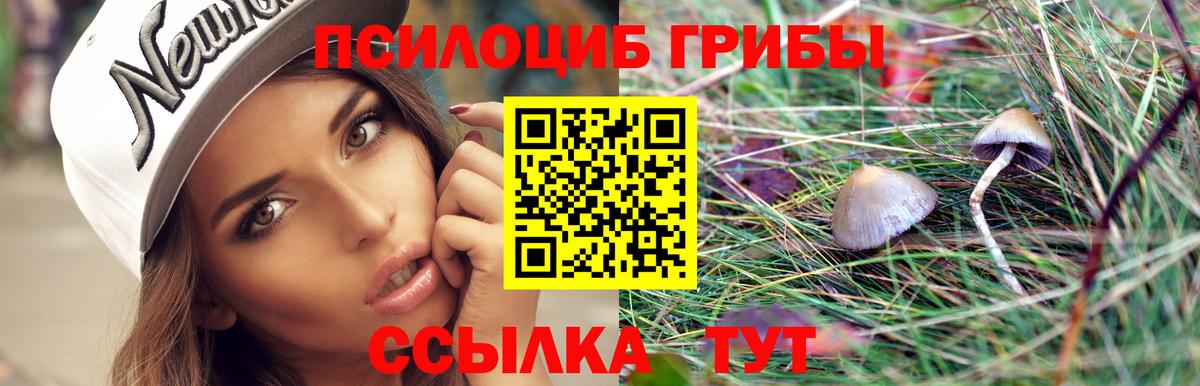 Елабуга  Псилоцибиновые грибы Magic Shrooms  Псилоцибиновые грибы Psilocybine cubensis  Вход с VPN 